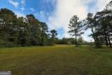 23481 Us Hwy 19 (7.46 Acres) - Photo 17