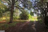 23481 Us Hwy 19 (7.46 Acres) - Photo 19