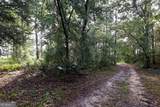 23481 Us Hwy 19 (7.46 Acres) - Photo 25