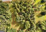 23481 Us Hwy 19 (7.46 Acres) - Photo 27