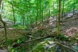 0 Overlook Trail - Photo 12