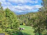 206 Peckerwood Road - Photo 4