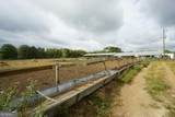 795 Alexander Road - Photo 12