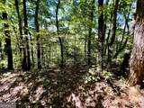 0 Double Knob Road - Photo 10