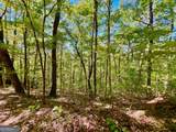 0 Double Knob Road - Photo 5