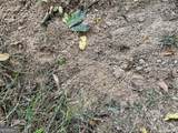 1398 Vanna Road - Photo 34