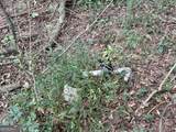 1398 Vanna Road - Photo 35