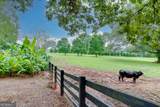 986 Austin Road - Photo 98