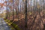 LOT 7 Joseph Anderson Trail - Photo 15