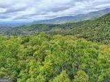 LOT 30 Skyview Drive - Photo 4