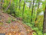 LOT 30 Skyview Drive - Photo 6