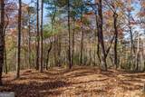 LOT 41 Preserve Trail - Photo 9