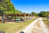 1189 Paul Harris Road - Photo 17
