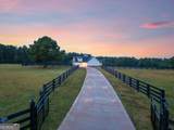 1000 Jacob Prickett Lane - Photo 46