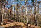 LOT 40 Preserve Trail - Photo 13