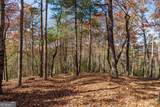 LOT 40 Preserve Trail - Photo 9