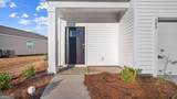100 Serenoa Drive - Photo 6