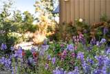 1241 Scenic Drive - Photo 75