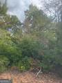 LOT 16 Brown Hawk Drive - Photo 3
