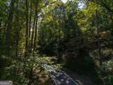 0 Little Hendricks Mountain Road - Photo 11