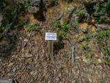 0 Denny Ridge Road - Photo 10