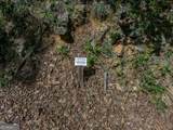 0 Denny Ridge Road - Photo 9