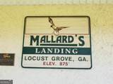 0 Mallard Lane - Photo 6