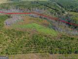 TRACT 1 Kinnett Road - Photo 6