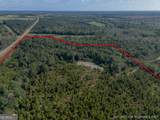 TRACT 7 Kinnett Road - Photo 3