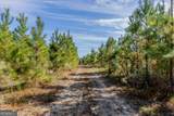 TRACT 7 Kinnett Road - Photo 8
