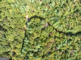 0 Hatley Creek Road - Photo 8