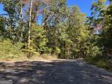 TRACT 6 Winterberry Court - Photo 22