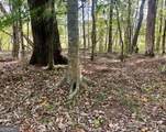 0 Buffalo Creek Road - Photo 10