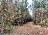 0 Buffalo Creek Road - Photo 14