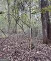0 Buffalo Creek Road - Photo 21