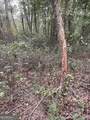 0 Buffalo Creek Road - Photo 23