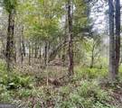 0 Buffalo Creek Road - Photo 24