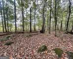0 Buffalo Creek Road - Photo 27