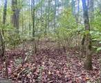 0 Buffalo Creek Road - Photo 35