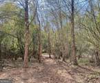 0 Buffalo Creek Road - Photo 5