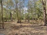 0 Buffalo Creek Road - Photo 6