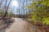 0 Forest Canopy Way - Photo 10