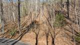 0 Forest Canopy Way - Photo 12
