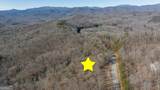0 Forest Canopy Way - Photo 41