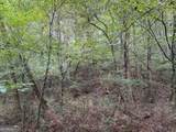 0 County Road 60 - Photo 17