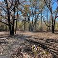 LOT A Pineville Road - Photo 2
