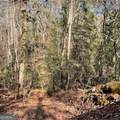LOT A Pineville Road - Photo 8