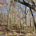 LOT B Pineville Road - Photo 3