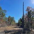 LOT B Pineville Road - Photo 8