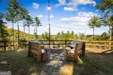 588 Bell Camp Ridge Road - Photo 9